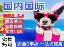 东郊空运国际宠物托运 【国